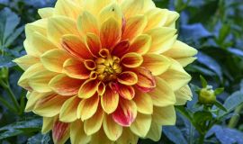 2018_10_14 Dorf Tirol, Ramsau & More - 03 Meran (I) 04_00_091-2.JPG