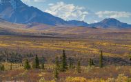Alaska,Interior - Denali National Park 09.JPG