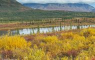 Alaska,Interior - Parks Highway 03.JPG