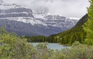 Alberta, Canadian Rockies - Icefields Parkway  Highway 93, Hector Lake 01.JPG