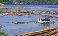 British Columbia, Vancouver Island - Telegraph Cove  Beaver Cove Log Sort 02.JPG