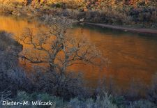 Impressionen vom Colorado River - Abendstimmung am Colorado Riverway, Moab-Utah.JPG