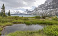 Alberta, Canadian Rockies - Icefields Parkway  Hwy 93, Bow Lake 02.JPG