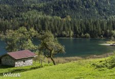 Impressionen vom Hintersee und Zauberwald - Blick vom Kainzierlhof auf den See.JPG