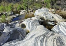 Naturwunder aus Stein im Westen der USA - Sabino Canyon State Park, Arizona.JPG