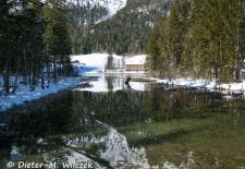 Rund um den Hintersee und Zauberwald - Blick vom Kiosk auf den winterlichen Hintersee.JPG