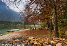 Rund um den Hintersee und Zauberwald - Leuchtende Herbstfarben entlang des Rundwanderweges.JPG