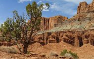 Utah, Canyon Country - Capitol Reef National Park 06.JPG