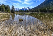 Blick vom Aussichtssteg auf den Taubensee mit Hochkalter