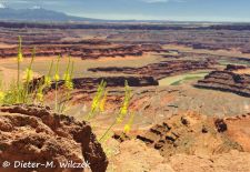 Spectacular Rock Formations in the Western US - Dead Horse Point State Park, Utah.JPG