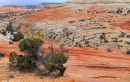 Utah, Canyon Country - Escalante Area 02.JPG