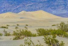 Mesquite Flat Sand Dunes