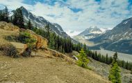 Alberta, Canadian Rockies - Icefields Parkway  Hwy 93, Peyto Lake 05.JPG
