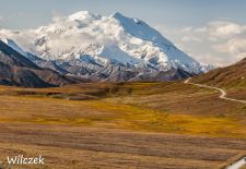 Entdeckungsreise durch Alaska - Denali (früher Mount McKinley).JPG