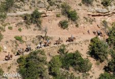 Grand Canyon - Auf Maultieren zur historischen Oase „Phantom Ranch“.JPG