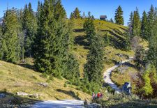Wanderung vom Hochschwarzeck zum Toten Mann
