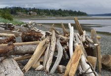 Vancouver Island - Campbell River, Tyee Point.JPG