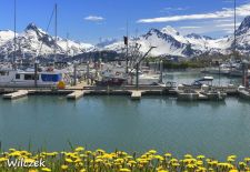 Entdeckungsreise durch Alaska - Small Boat Harbor, Valdez.JPG