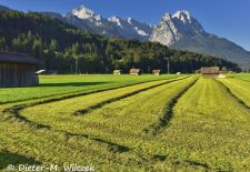 Mein Werdenfelser Land - Wiesen mit Zugspitzblick.JPG