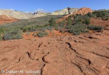 Naturwunder aus Stein im Westen der USA - Snow Canyon State Park, Utah.JPG