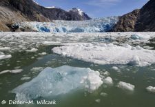 Alaska - Lockruf der Wildnis - North Sawyer Glacier.JPG