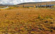 Alaska, Far North - Arctic Circle  Dalton Highway 03.JPG