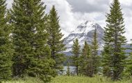 Alberta, Canadian Rockies - Icefields Parkway  Hwy 93, Bow Lake 09.JPG