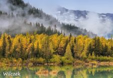 Entdeckungsreise durch Alaska - Herbststimmung, Portage Valley.JPG