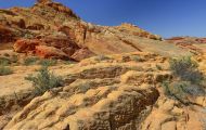 Nevada, South - Valley of Fire State Park 12.JPG