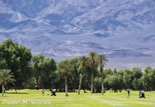 Leben im Death Valley - Golfen, 65m unter dem Meeresspiegel_.JPG