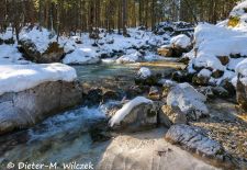 Rund um den Hintersee und Zauberwald - Schönheit und Ursprünglichkeit im Zauberwald.JPG