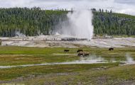 Wyoming, Northwest - Yellowstone National Park Beehive Geyser 01.JPG