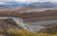Alaska,Interior - Denali National Park 04.JPG