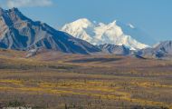Alaska,Interior - Denali National Park 10.JPG