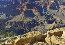 Grand Canyon - Imposante Felsenkulisse am Powell Point.JPG