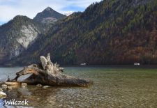Weißblaue Impressionen vom Königssee - Seeufer an der Halbinsel Hirschau.JPG