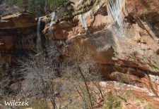 Impressionen vom Nationalpark Zion - Wanderung zu den Emerald Pools.JPG
