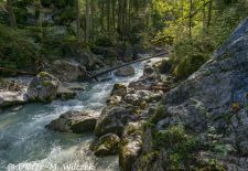 Rund um den Hintersee und Zauberwald - Die Ramsauer Ache auf ihrem Weg durch den Zauberwald.JPG