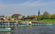 Sachsen, Dresden - Altstadt / Dampferparade 01