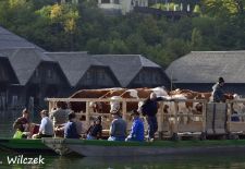 Weißblaue Impressionen vom Königssee - Ungewöhnlicher Almabtrieb mit dem Landauer.JPG