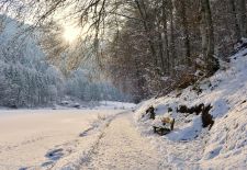 Zu Besuch am Riessersee - Einladung zum stimmungsvollen Winterspaziergang