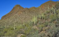 Arizona, Southeast - Tucson   Gates Pass Road 02.JPG