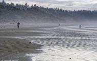 British Columbia, Vancouver Island - Pacific Rim National Park & Preserve  Long Beach 04.JPG