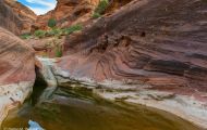 Utah, Dixie - Red Cliffs Recreation Site 03.JPG