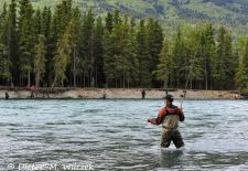Alaskas Kenai Halbinsel - Lachsangler im Russian River.JPG