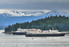 Auf dem Marine Highway in Alaska - MV Malsaspina und MV Kennicott in der Auke Bay.JPG