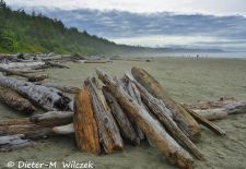 Faszination Vancouver Island - Pacific Rim, Ausflugsparadies Long Beach.JPG