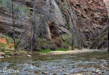 Impressionen vom Nationalpark Zion - Die Zion Narrows sind nur für geübte Wanderer.JPG