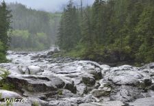 Vancouver Island - Entlang des Pacific Rim Highway.JPG
