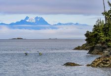 Vancouver Island - Perle im Kanadischen Westen - Ocean Kayaking in der Johnstone Strait